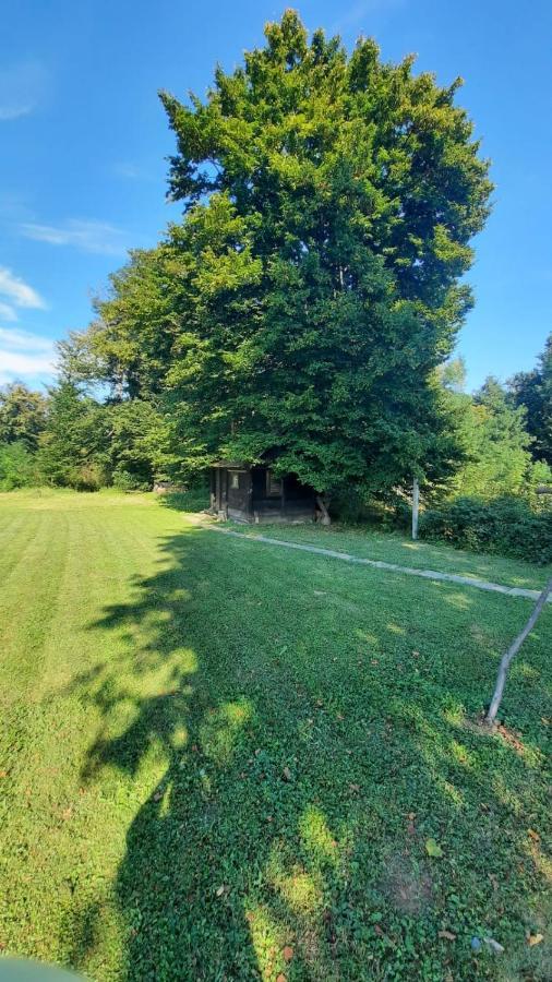 M&M Kuca Za Odmor Villa Vrbovec Exteriör bild