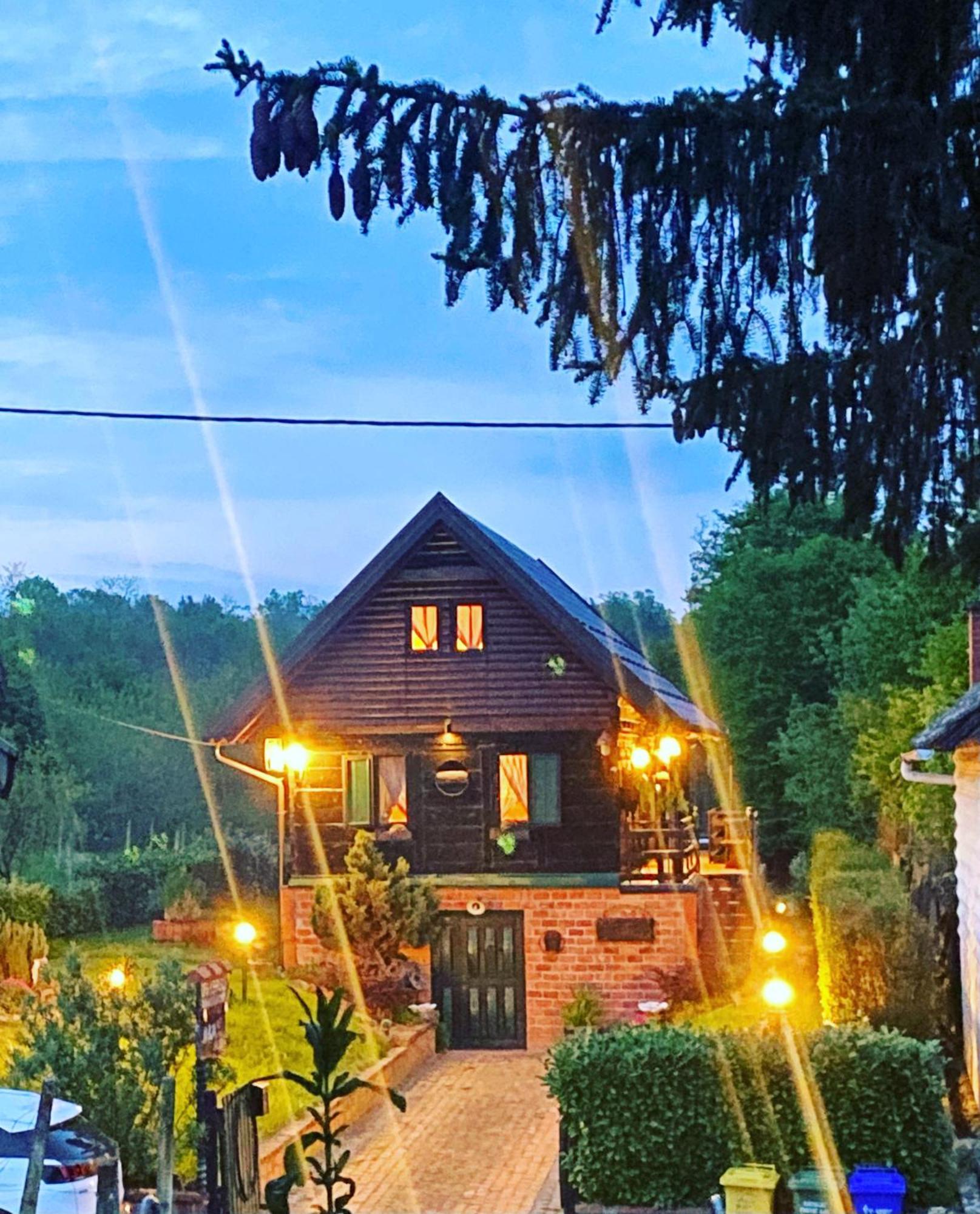 M&M Kuca Za Odmor Villa Vrbovec Exteriör bild